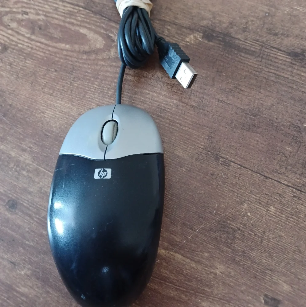 HP USB Mouse - Carbon/ Silver 2 Button Scroll